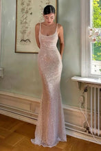 Load image into Gallery viewer, Simple Pink Sequin Straps Mermaid Prom Dresses With Spaghetti Straps