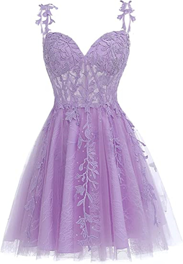 Fairy Homecoming Dress 2023 Short Spaghetti Straps Tulle with Lace Appliques Corset Back