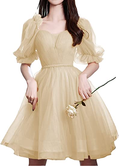 Fairy Homecoming Dress 2023 Short Sweetheart Tulle with Puffy Sleeves